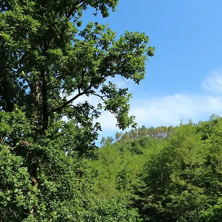 Holiday home Belvilla By Oyo Casa Marcellini Sesta Godano